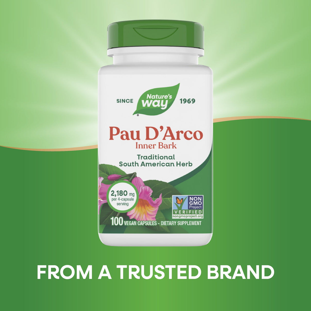 Nature's Way PAU d'Arco Inner Bark, Traditional South American Herb, 2,180 mg per 4-Capsule Serving, Non-GMO Project Verified, 100 Capsules (Packaging May Vary)