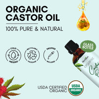 Thumbnail for HERBION Naturals Organic Castor Oil USDA Certified, 100% Pure, Cold Pressed, Hexane-Free. Moisturizer & Hair Treatment. Glass Bottle w/Dropper, 3.38 Fl Oz