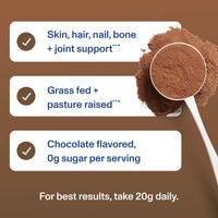 Thumbnail for Vital Proteins Collagen Peptides Powder Supplement, Hydrolyzed Collagen for Skin, Hair, Nails & Joints, Chocolate, 28 Servings
