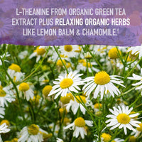 Thumbnail for Garden of Life Organics Sleep Well Rest & Refresh 30 Tablets, Lemon Balm, Green Tea Extract L-Theanine, Valerian Root, Chamomile, Probiotics-Organic Non-GMO Vegan Gluten Free Herbal Supplement