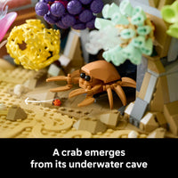 Thumbnail for LEGO Icons Tropical Aquarium Building Set for Adults, Ages 18+ - Bedroom, Home Office Decor - Gifts for Men & Women - Model Fish Kit with Plants & Corals - 10366
