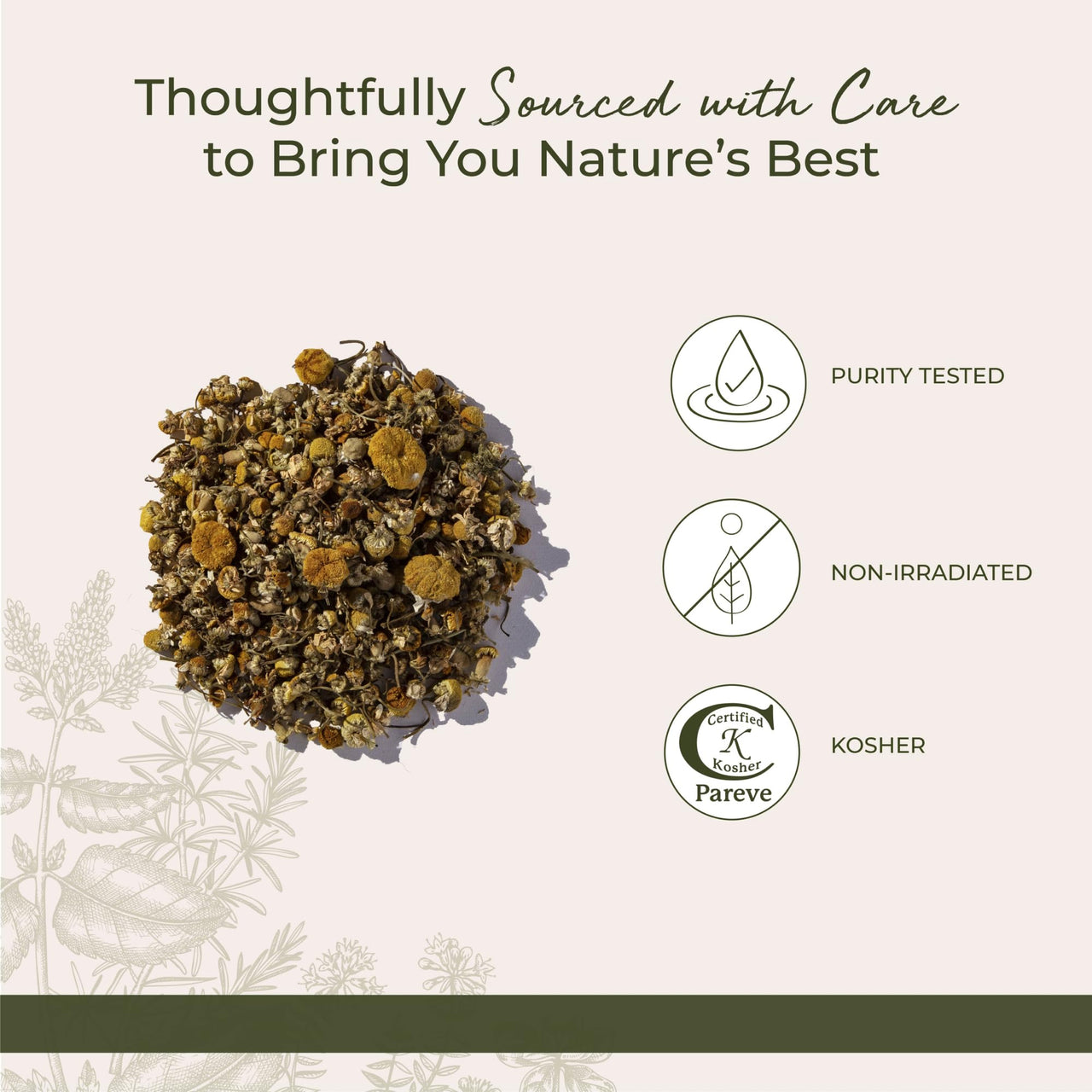 Starwest Botanicals Organic Chamomile Flowers Whole - Dried Loose Leaf Herb for Tea, Herbal Lotions, & Baking, Sourced from Egypt, Certified Kosher, Non-GMO - Bulk 1 lb Bag