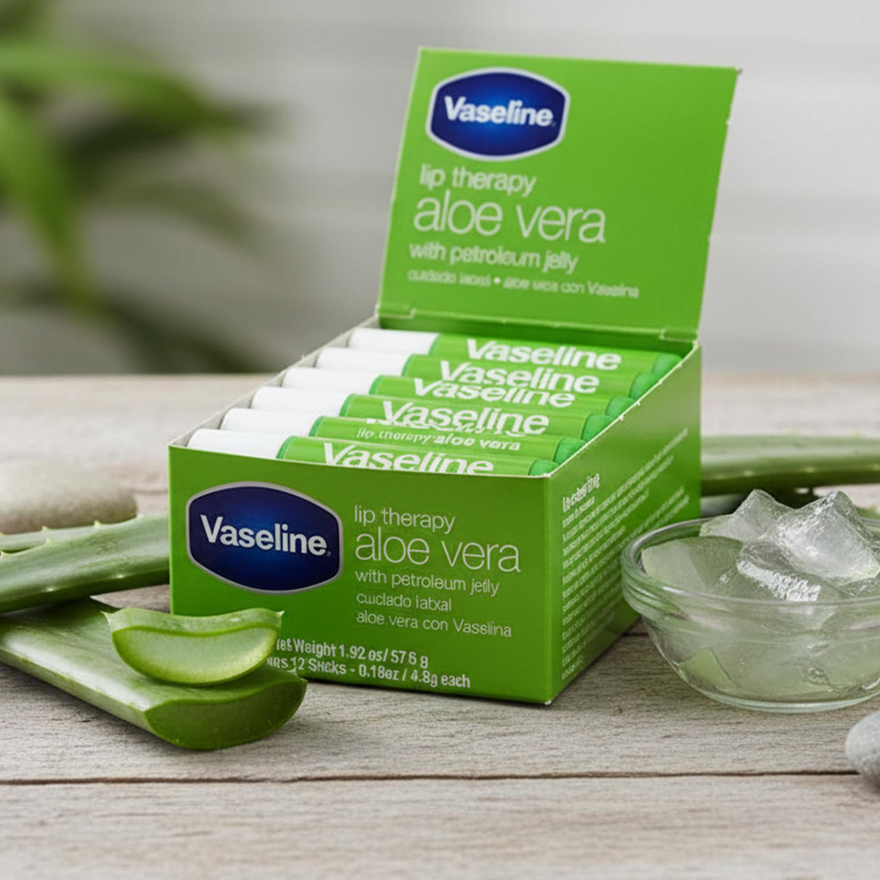 Vaseline Lip w/o Backer Card Aloe - 12 pack box