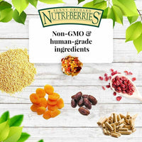 Thumbnail for LAFEBER'S Sunny Orchard Nutri-Berries Pet Bird Food, Made with Non-GMO and Human-Grade Ingredients, for Parrots, 3 lb