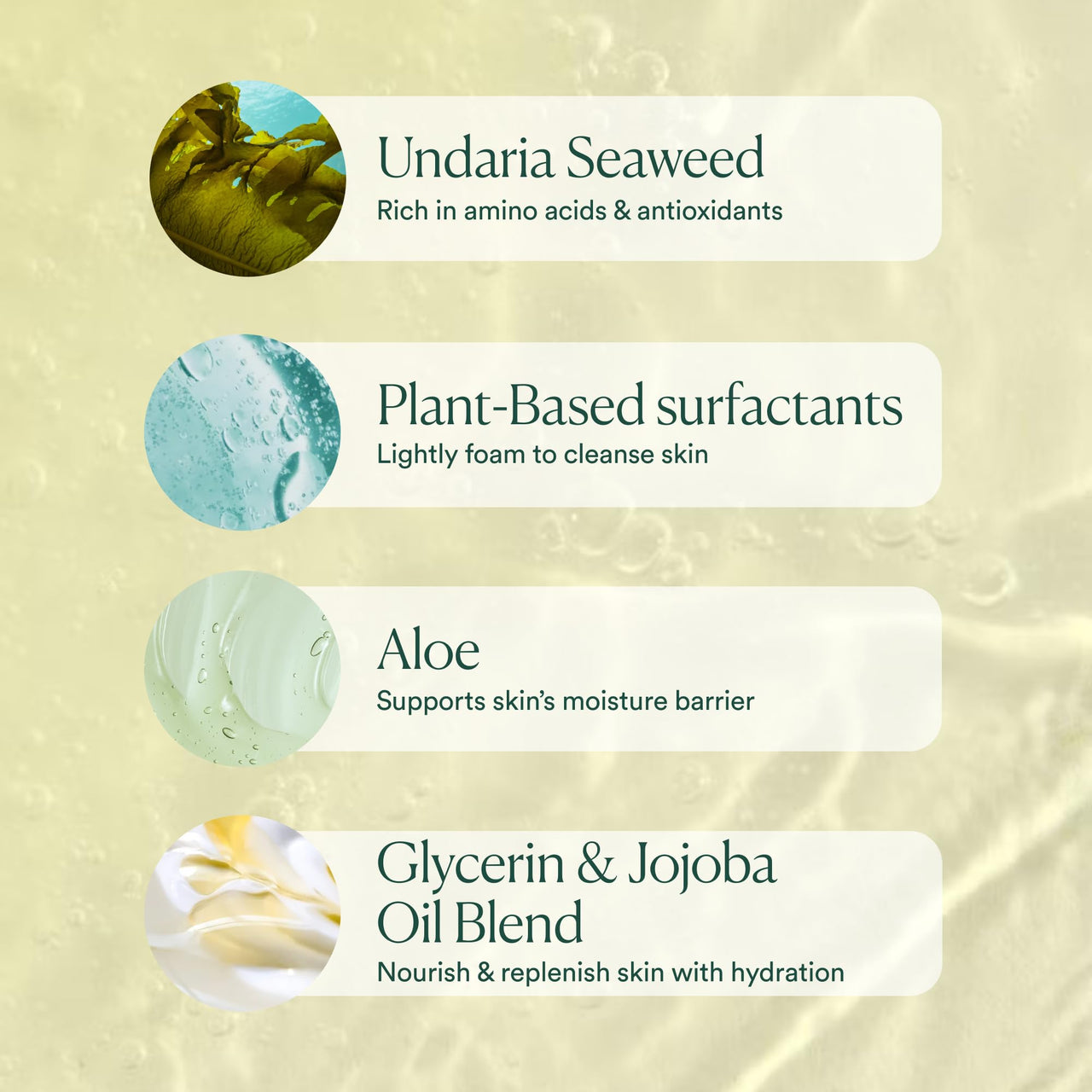 OSEA Undaria Algae™ Body Wash - pH Balanced - Hydrating & Moisturizing Citrus Scented Cleanser - Clean, Vegan, Non-Toxic Skincare - 8oz