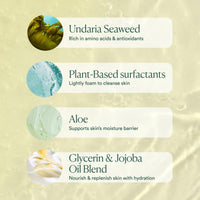 Thumbnail for OSEA Undaria Algae™ Body Wash - pH Balanced - Hydrating & Moisturizing Citrus Scented Cleanser - Clean, Vegan, Non-Toxic Skincare - 8oz