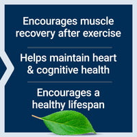 Thumbnail for Life Extension Taurine, Pure Taurine Amino Acid Supplement, Heart, Liver and Brain Health, Longevity, Muscle and Exercise, 1000 mg dose, Non-GMO, Gluten-Free - Two Pack - 90 Vegetarian Capsules x 2