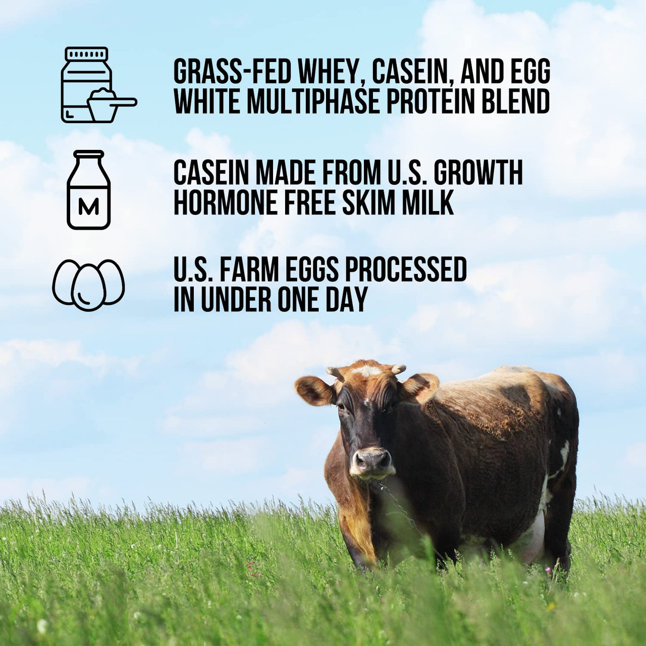 NAKED Protein Powder Blend - Egg, Whey and Casein Protein Blend