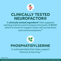 Thumbnail for NEURIVA Plus Decaffeinated Nootropic Brain Supplement for Memory, Focus & Concentration & Cognitive Function, Clinically Tested NeuroFactor, Phosphatidylserine, Vitamins B6 B12,50ct Strawberry Gummies