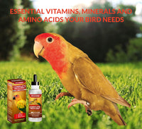 Thumbnail for VITOFARMA Multi-Vitamin for Birds, High-Potency Vitamin & Mineral Supplement for Pet Birds 2.0 Ounce