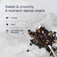 Thumbnail for Blueprint Bryan Johnson Blueberry Nut Mix - Real Blueberries, Roasted Macadamia Nuts and Walnuts - No Additives or Added Sugars - Keto and Paleo Friendly - 170mg Polyphenols (30 Servings)