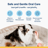 Thumbnail for ProDen PlaqueOff Scoopables - Hickory Smoked Bacon Flavor Dental Bites for Large Dogs, Natural Kelp for Plaque & Tartar Control, Freshens Breath -Large & Giant Breed Dental Care- 45 Scoops