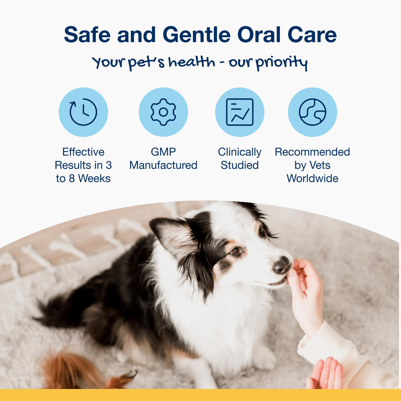 ProDen PlaqueOff Scoopables - Hickory Smoked Bacon Flavor Dental Bites for Small Dogs, Natural Kelp for Plaque & Tartar Control, Freshens Breath - Small & Medium Breed Dental Care- 45 Scoops