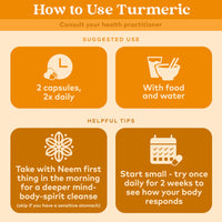 Thumbnail for ORGANIC INDIA Turmeric Curcumin Herbal Supplement - Joint Mobility & Immune Support, Healthy Inflammatory Response, Whole Root Supplement, Trikatu, USDA Certified Organic, Non-GMO - 180 Capsules
