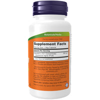 Thumbnail for NOW Foods Supplements, Elderberry (Sambucus nigra)500 mg, 10:1 Concentrate, 60 Veg Capsules