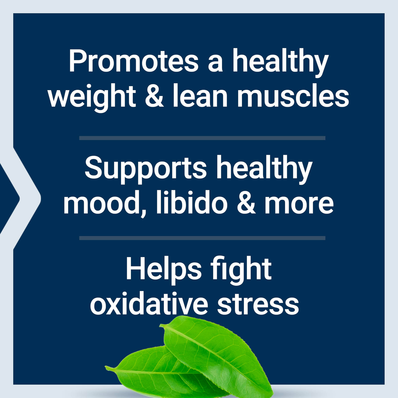 Life Extension DHEA and 7-Keto DHEA Complete Vegetarian Capsules to Maximize Support of a Healthy Body Weight & Mood, Lean Muscle Mass, Libido & More, Non-GMO, Gluten-Free, 60 Count