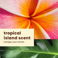 Thumbnail for Hawaiian Tropic Sheer Touch Lotion Sunscreen SPF 15, 8oz | Hawaiian Tropic Sunscreen SPF 15, Sunblock, Broad Spectrum Sunscreen, Oxybenzone Free Sunscreen, Body Sunscreen SPF 15, 8oz (Pack of 2)