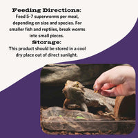 Thumbnail for Fluker's Freeze Dried Superworms, for Reptiles, Ideal for Lizards, Reptiles, Birds, Fish, Hedgehogs, 1.7 oz