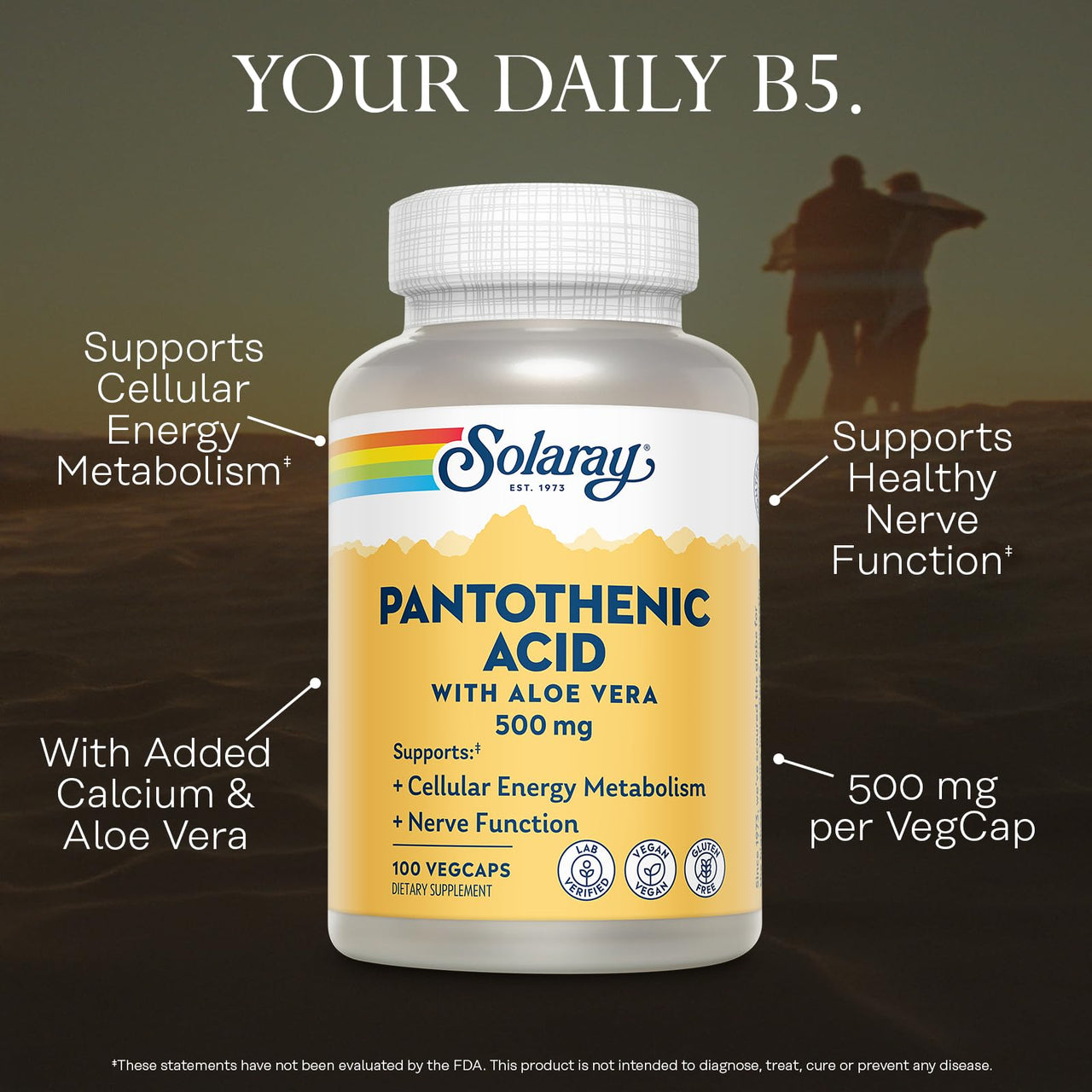 SOLARAY Pantothenic Acid 500mg - Pantothenic Acid Supplement (Vitamin B5) - Essential B Complex Vitamin - Nervous System and Cellular Energy Support - Vegan, Gluten Free, 60-Day Guaratee, 100 Servings