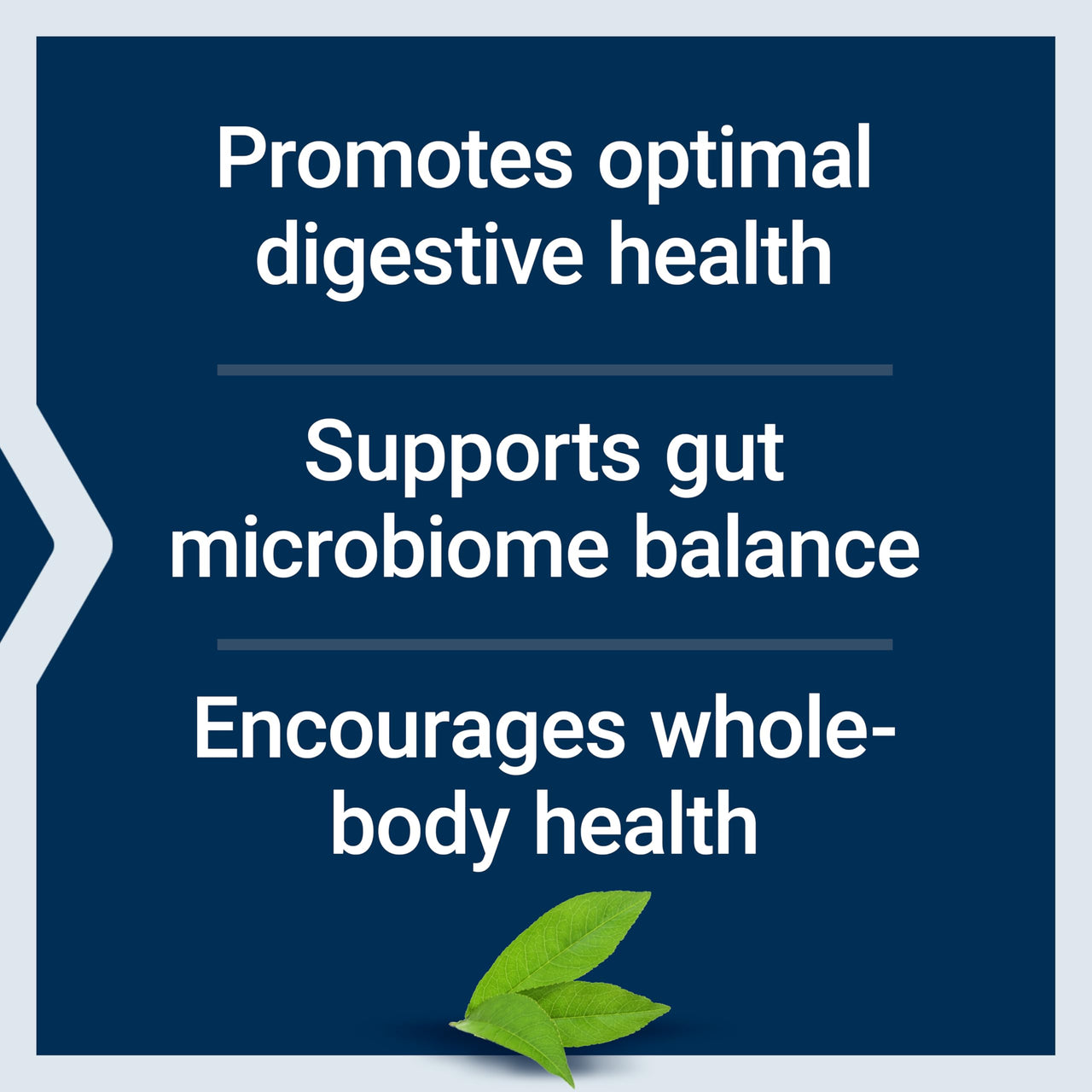 Life Extension FLORASSIST® Probiotic Balance, Gut Health, Immune Support, Whole-Body Health, 7 strains, 15 Billion CFUs, Non-GMO, Gluten-Free, Vegetarian, 30 Capsules