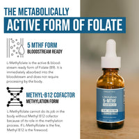 Thumbnail for L Methyl Folate 15mg Plus Methyl B12 Cofactor – Organic Berry Flavor, High Potency Liquid Sublingual Active 5-MTHF Form - Supports Mood, Methylation, Cognition – Bioactive Forms Vitamin B9 & B12 (1oz)
