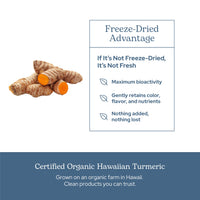 Thumbnail for Eclectic Herb - Organic Turmeric Capsules | Musculoskeletal System & Joint Health Support | Herbal Supplement | Vegan, Non-GMO, Gluten Free, Freeze-Dried (90 CT | 395 mg)