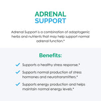 Thumbnail for Rootcology by Dr. Izabella Wentz | Adrenal Support | Adaptogenic Herbal Formula with Vitamin B6, Licorice & N-Acetyl-L-Tyrosine | 90 Capsules