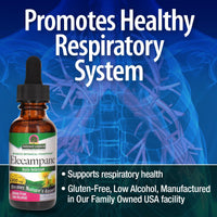 Thumbnail for Nature's Answer Elecampane Root 2 oz. Low Organic Alcohol 2000mg - Herbal Supplement - Non GMO & Kosher - Low Alcohol Gluten Free 100% Vegan - 2 FL Oz