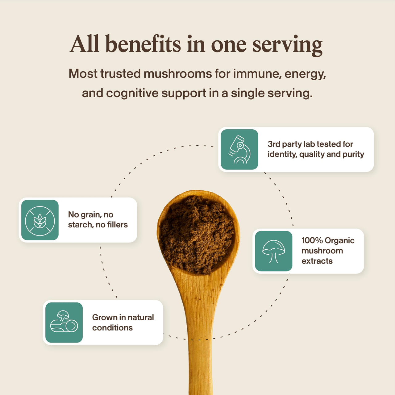 Real Mushrooms 5 Defenders - Adaptogenic Mushrooms Complex with Chaga, Reishi, Turkey Tail, Maitake & Shiitake for Wellness Support - Mushroom Beta Glucan Capsules - 90 Count