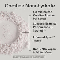 Thumbnail for Sports Research® Creatine Monohydrate - Gain Lean Muscle, Improve Performance and Strength and Support Workout Recovery* - 5 g Micronized Creatine, Fruit Punch Flavor - 25 Servings