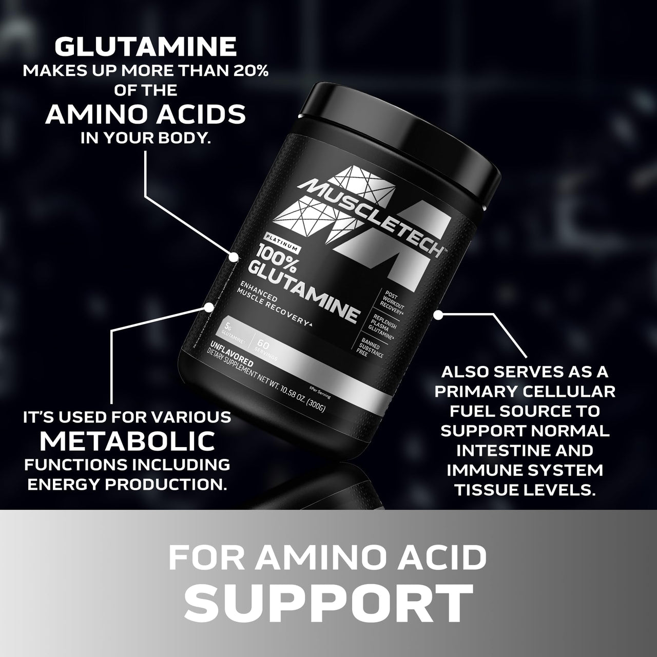 Muscletech 100% L-Glutamine Powder for Enhanced Muscle Recovery - Pure L Glutamine Muscle Growth Builder & Energy Boosting Nutritional Supplement for Men & Women - Unflavored, 60 Servings