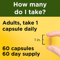 Thumbnail for Nature Made Turmeric Curcumin 500 mg, Herbal Supplement for Antioxidant Support, 60 Capsules, 60 Day Supply