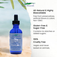 Thumbnail for Eidon Ionic Minerals Liquid Chromium Concentrate - Ionic Chromium Supplement Drops, Supports Stable Energy Levels, All-Natural, No Sugar Added, No Preservatives or Additives - 2 oz