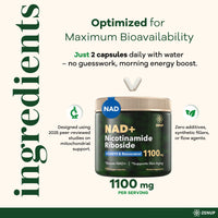 Thumbnail for ZenUP NAD+ Supplement | 1100mg Liposomal Nicotinamide Riboside with Resveratrol & Quercetin | Anti-Aging, Cellular Energy, Mental Focus | 120 Caps