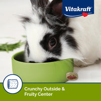 Thumbnail for Vitakraft Bursts Small Animal Treat Wildberry Flavor 1.76 oz - Crispy Outside with Soft Berry Center - Fun Reward Snacks for Rabbits Guinea Pigs Hamsters and Other Small Pets