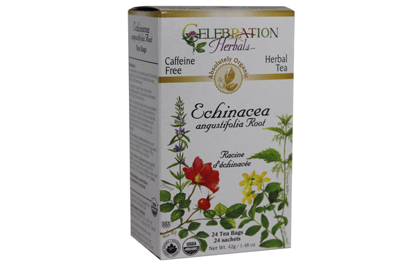 Celebration HERBALS Echinacea ANG Herb Tea Organic 24 Bag, 0.02 Pound