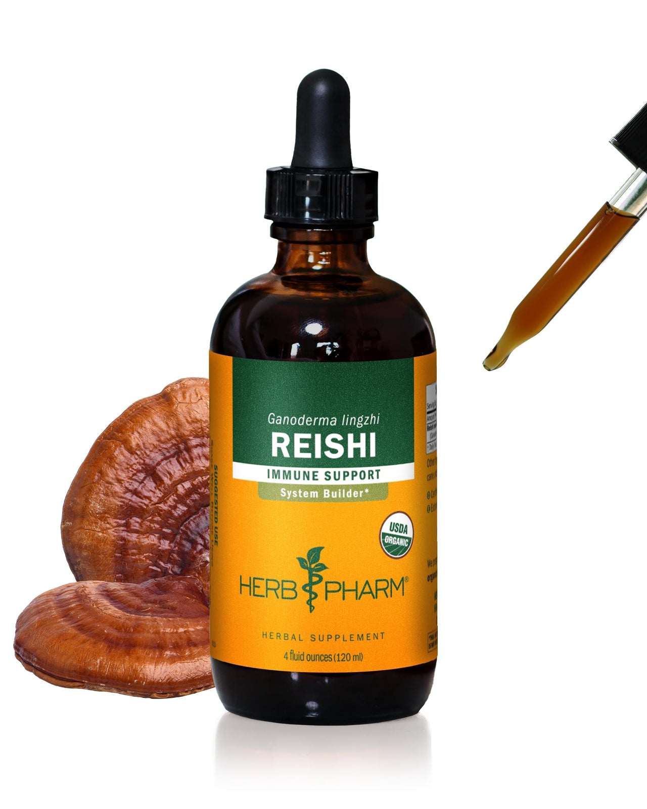 Reishi Mushroom Liquid Extract Drops Immune System Builder, 4 Oz