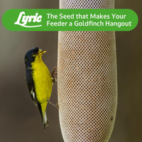 Thumbnail for Lyric Nyjer Seed - 3 lb. Bag