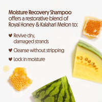 Thumbnail for Not Your Mother's Naturals Protect & Nourish Shampoo & Conditioner Set - 15.2 fl oz - Sulfate-Free Hair Products - Royal Honey & Kalahari Desert Melon