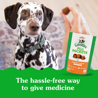 Thumbnail for Greenies Pill Pockets for Dogs Large Size, Dog Treat Pouch for Capsule Medication, Cheese Flavor, 7.9 oz. Pouch