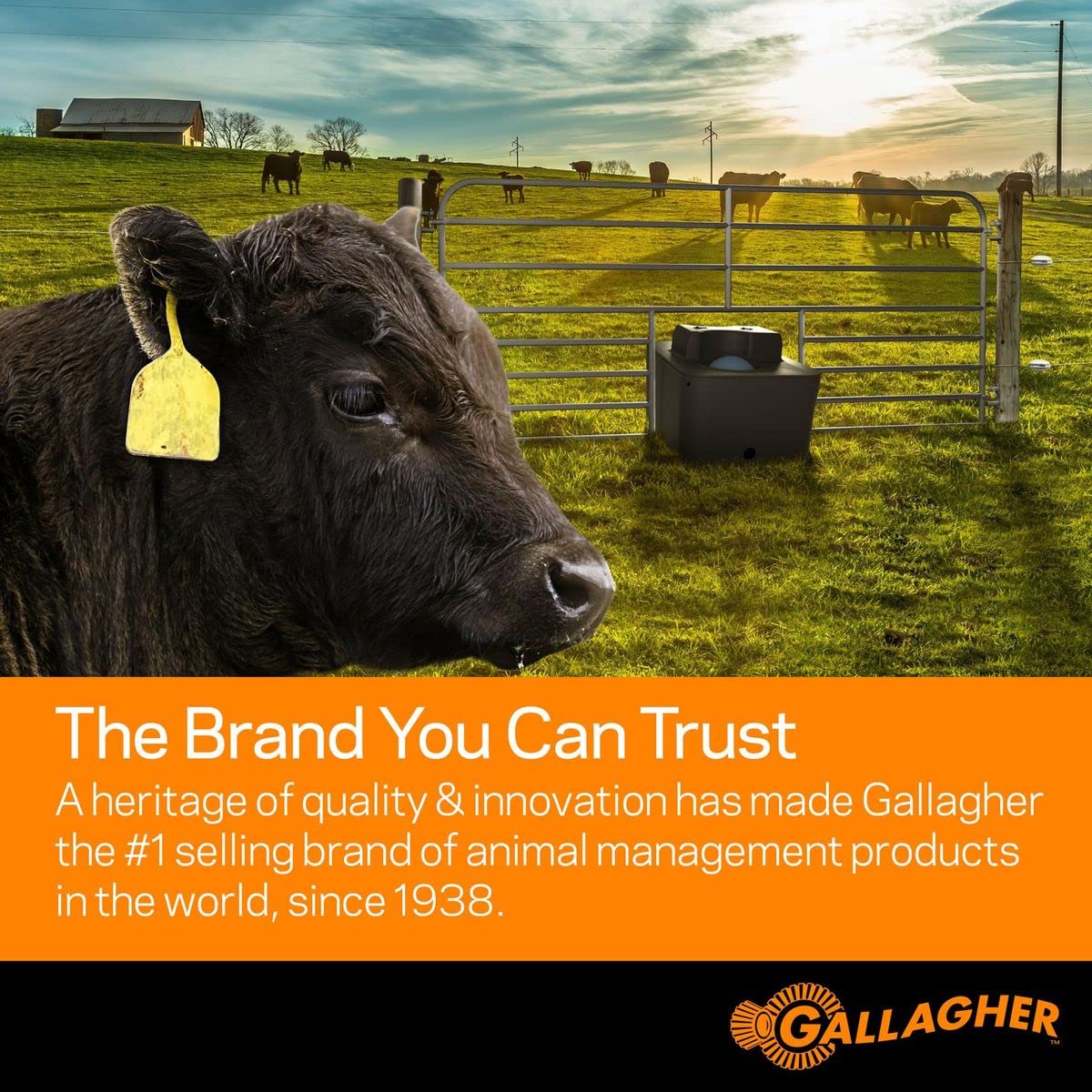 Gallagher Economy Electric Fence Reel | Holds 1640' Poly Wire and 656' of 0.5" Tape | Zinc Coated Frame | Positive Locking Ratchet Mechanism | UV Stabilized