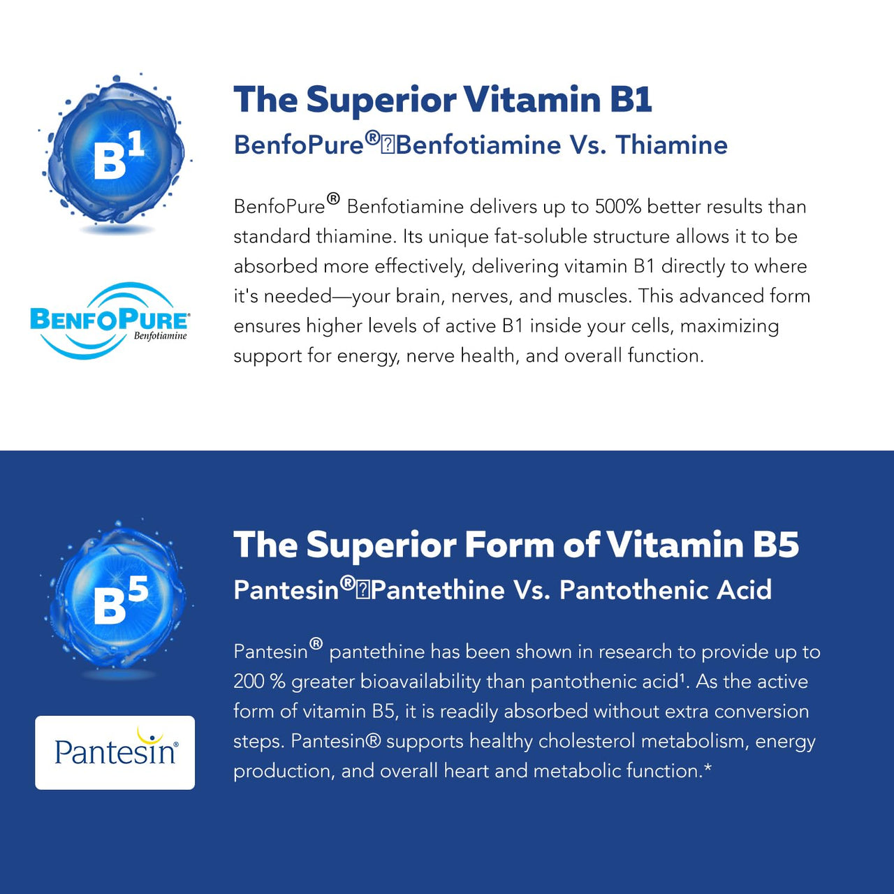 BioActive Vitamin B Complex - Blood Stream Ready, Methylated B Complex - Featuring Methylfolate, 3 BioActive Forms of B12, BenfoPure® B1 & Pantesin® B5 - 12 B Vitamins in Clinical Doses - 60 Servings