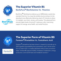 Thumbnail for BioActive Vitamin B Complex - Blood Stream Ready, Methylated B Complex - Featuring Methylfolate, 3 BioActive Forms of B12, BenfoPure® B1 & Pantesin® B5 - 12 B Vitamins in Clinical Doses - 60 Servings