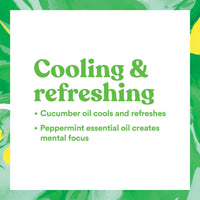 Thumbnail for ASUTRA Dead Sea Salts Essential Oil Body Scrub Favorite Scents Bundle – 3, Full-Size 16 oz Body Scrubs – Vitamin C, Revitalizing Coconut, Cooling Cucumber – Ultra Hydrating, Gentle, and Moisturizing