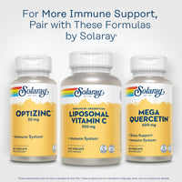 Thumbnail for SOLARAY Liposomal Vitamin C 500mg - Enhanced Absorption Vitamin C Liposomal Blend with Fatty Acids - Antioxidant and Immune Support Supplement - Vegan, 60-Day Guarantee, 100 Servings, 100 VegCaps