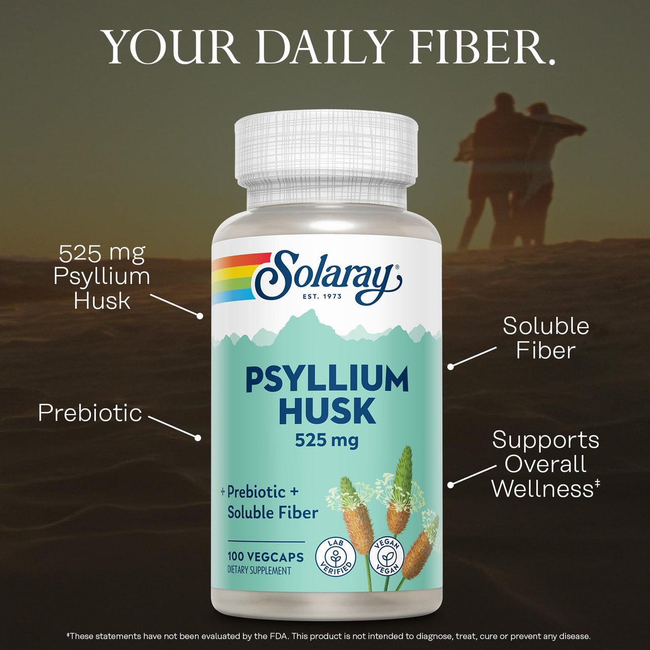 SOLARAY Psyllium Husk Capsules â€“ 525 mg Prebiotic and Soluble Fiber Supplement for Overall Daily Wellness Support â€“ Vegan, Lab Verified â€“ 100 Servings, 100 VegCaps