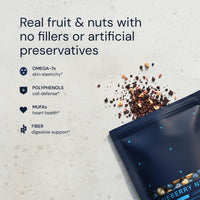 Thumbnail for Blueprint Bryan Johnson Blueberry Nut Mix - Real Blueberries, Roasted Macadamia Nuts and Walnuts - No Additives or Added Sugars - Keto and Paleo Friendly - 170mg Polyphenols (30 Servings)