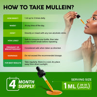 Thumbnail for Mullein Drops for Lungs - USDA Organic Liquid - Mullein Leaf Extract Supplement - Made in USA - Lung & Bronchial Cleanse for Smokers - Respiratory Health Support - As Tincture, Tea, Pills - 4 fl oz