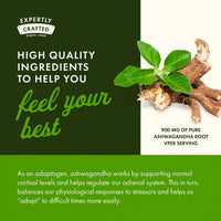 Thumbnail for Swanson Full Spectrum Ashwagandha - Natural Stress, Energy, Sleep & Immune Support* - Traditional Ayurvedic Supplement - Gluten-Free & Non-GMO - 100 Vegan Capsules