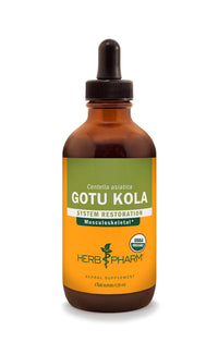 Thumbnail for Herb Pharm Certified Organic Gotu Kola Liquid Extract for Musculoskeletal System Support - 4 Ounce